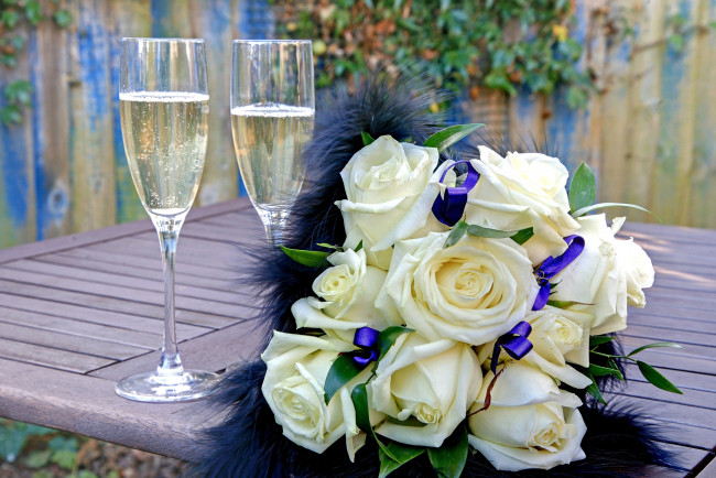 Обои картинки фото цветы, розы, белый, шампанское