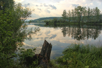 Картинка природа реки озера вода деревья