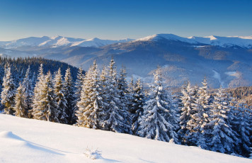 Картинка природа зима лес снег горы