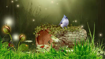 Картинка разное компьютерный+дизайн светлячки птицы бревно трава бабочки