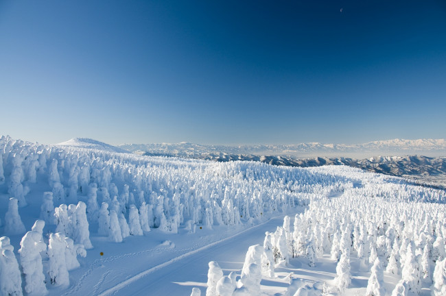 Обои картинки фото природа, зима, дорога, снег, горы, деревья, лес, Япония, Ямагата