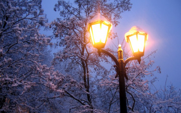 обоя разное, осветительные приборы, вечер, деревья, природа, мороз, фонарь, ветки, зима, холод, свет, снег