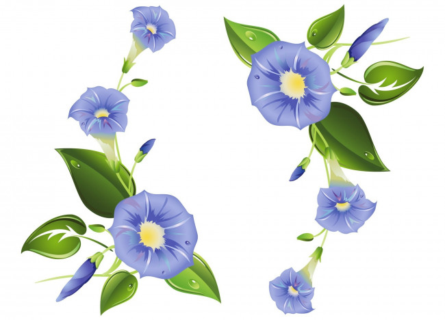 Обои картинки фото векторная графика, цветы , flowers, фон, цветы