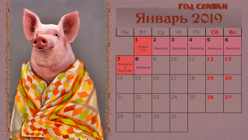 Картинка календари праздники +салюты ткань свинья поросенок покрывало