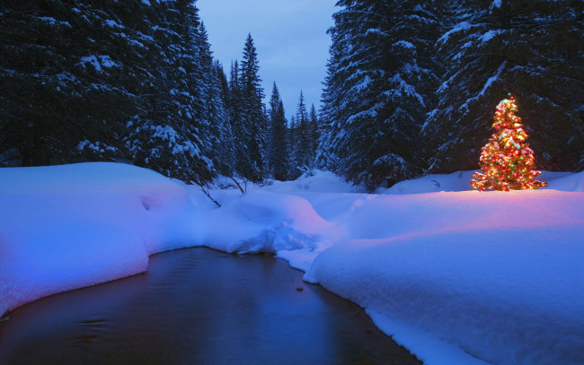Обои картинки фото праздничные, Ёлки, лес, огни, ёлка, река, снег