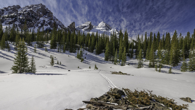 Обои картинки фото природа, зима, горы, снег, елки