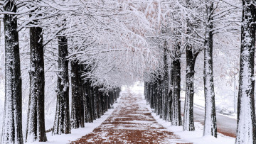 Картинка природа дороги дорога зима снег