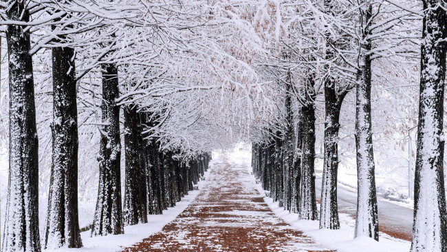 Обои картинки фото природа, дороги, дорога, зима, снег