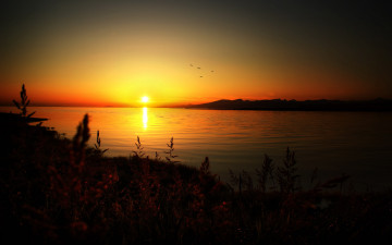 Картинка природа восходы закаты закат трава озеро