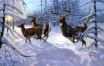Картинка winter glory рисованные gene stewart зима солнце олени