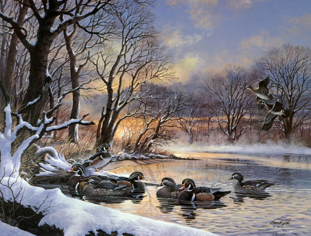 Обои картинки фото winter, woodies, рисованные, harold, roe, полынья, зима, утки