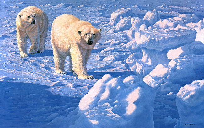 Обои картинки фото along, the, ice, floe, рисованные, john, seerey, lester, белые, медведи, seerey-lester, зима