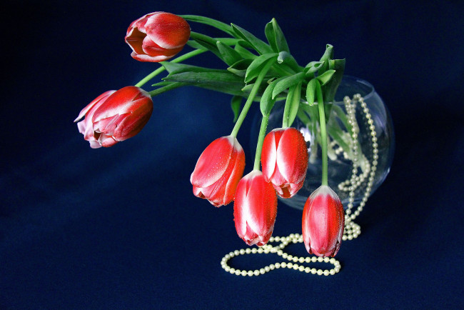 Обои картинки фото цветы, тюльпаны, бусы, ваза, бутоны