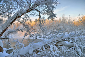 Картинка природа зима снег