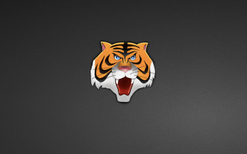 Картинка рисованные минимализм тигр head голова tiger