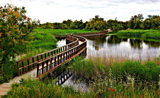 Обои картинки фото природа, реки, озера, трава, мостик, река, деревья