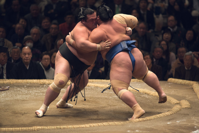 Обои картинки фото спорт, другое, сумо, борьба, ринг, гиганты, толстяки