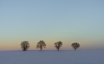 Картинка природа зима пейзаж снег деревья поле