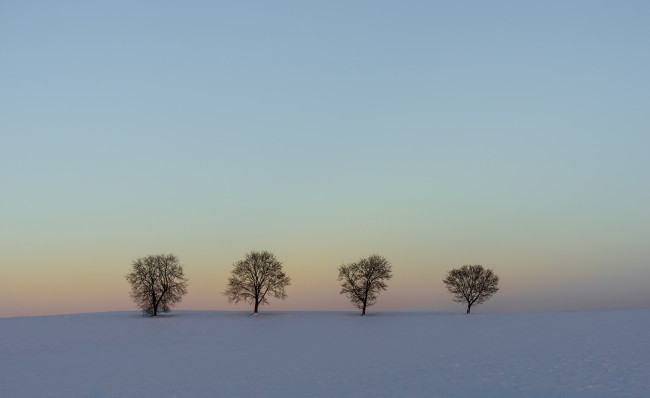 Обои картинки фото природа, зима, пейзаж, снег, деревья, поле