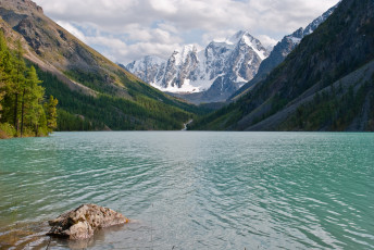 Картинка алтай природа реки озера лес деревья простор озеро река зелень трава горы сибирь россия