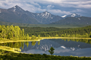 Картинка алтай природа реки озера лес деревья простор озеро река зелень трава горы сибирь россия