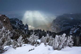 Картинка природа горы румыния снег лучи лес зима
