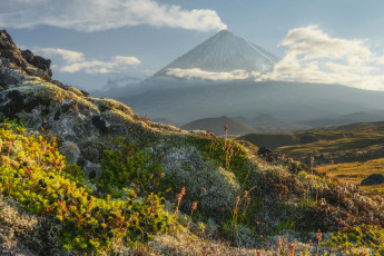 Картинка природа горы вулканы пейзажи цветы простор россия камчатка