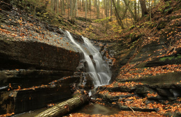 Картинка природа водопады скала поток лес