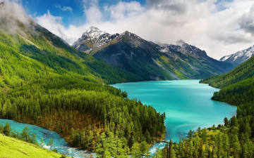 Картинка природа реки озера деревья зелень трава простор горы алтай озеро река сибирь лес россия