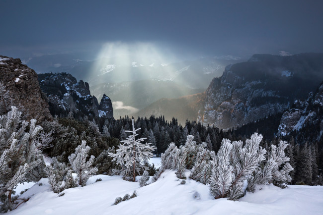 Обои картинки фото природа, горы, румыния, снег, лучи, лес, зима
