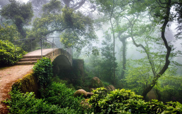обоя природа, парк, туман, мостик
