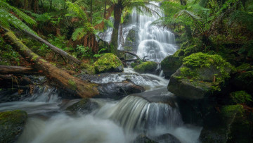 Картинка henderson+falls great+otway+np victoria australia природа водопады henderson falls great otway np