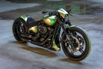 Картинка мотоциклы harley-davidson softail fxdr customized golden lime tuning bikes