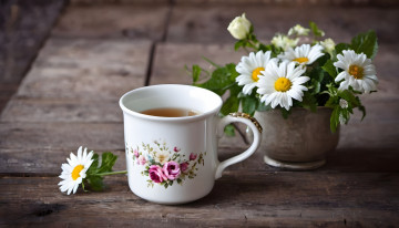 Картинка еда напитки +чай чашка чай букетик ромашки