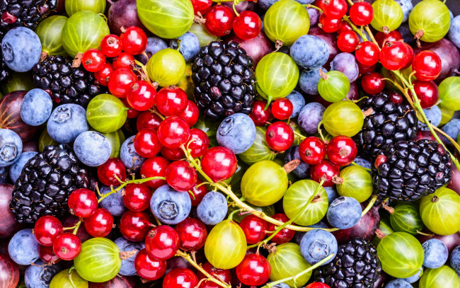 Обои картинки фото еда, фрукты,  ягоды, красная, смородина, черника, крыжовник, ежевика