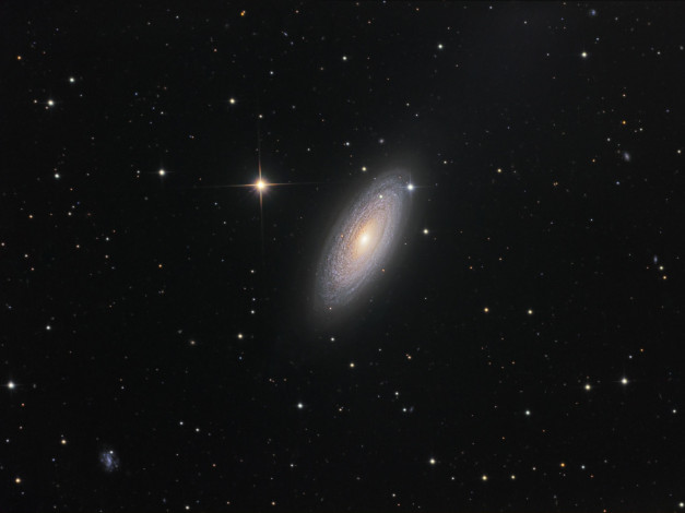 Обои картинки фото ngc, 2841, космос, галактики, туманности