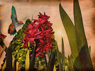 Картинка рисованные цветы цветок колибри