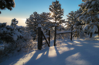 Картинка природа зима сугробы забор свет лес снег