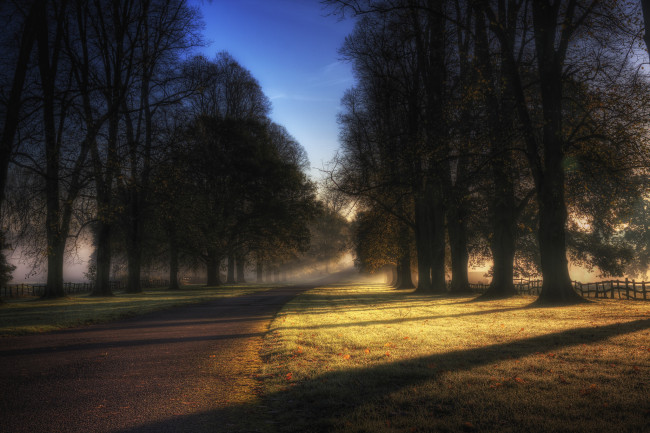 Обои картинки фото природа, дороги, лес, утро, туман, дорога, забор