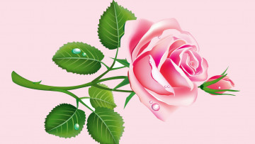 Картинка векторная+графика цветы+ flowers листья роза бутон лепестки вектор открытка капли