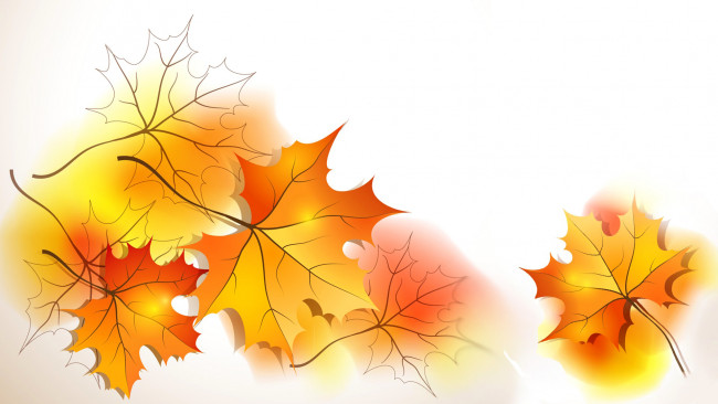 Обои картинки фото векторная графика, природа , nature, белый, жёлтые, фон, листья, осень