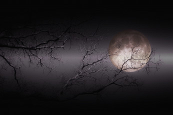 Картинка космос луна светило ночь