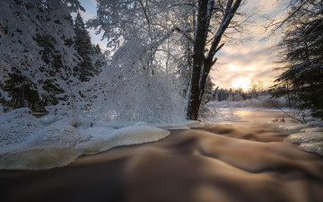 Картинка природа зима иней