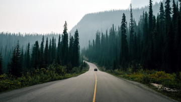 Картинка природа дороги шоссе туман