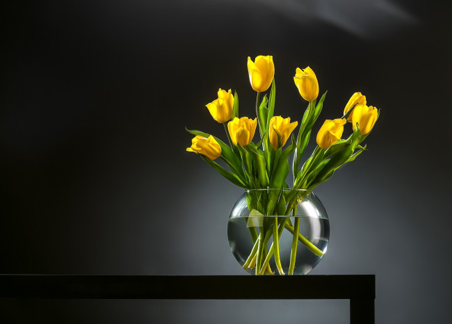 Обои картинки фото цветы, тюльпаны, фон, букет, бутоны, ваза