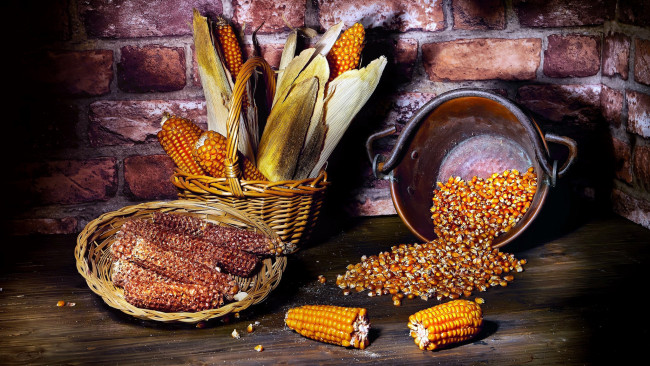 Обои картинки фото еда, кукуруза, зерна, початки