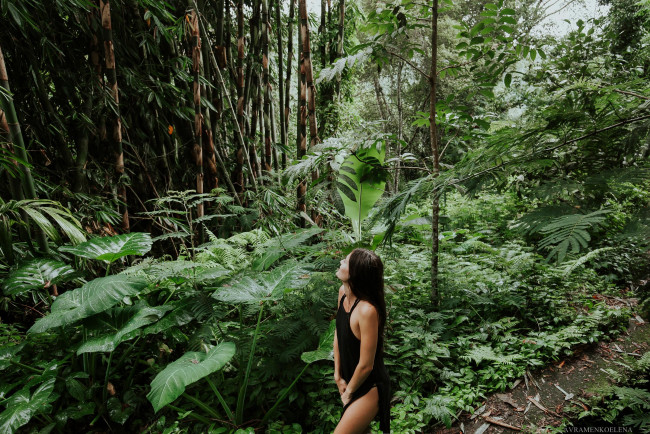 Обои картинки фото девушки, - брюнетки,  шатенки, брюнетка, платье, лес, джунгли