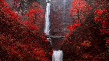 Картинка multnomah+falls природа водопады multnomah falls