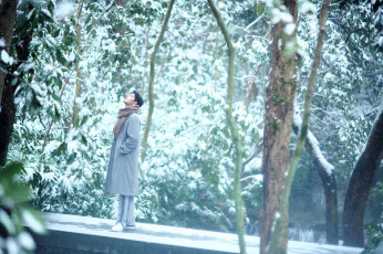 обоя мужчины, xiao zhan, актер, пальто, шарф, лес, снег