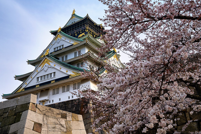 Обои картинки фото города, замки японии, замок